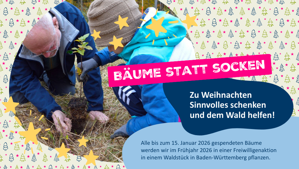Bild und Grafik: Auf einem weihnachtlichen Hintergrund ist ein Bild zu sehen. Darauf pflanzen ein Mann und ein Kind gemeinsam einen Baum ein. Daneben steht: Bäume statt Socken! Zu Weihnachten Sinnvolles schenken und dem Wald helfen! Alle bis zum 15. Januar 2026 gespendeten Bäume werden wir im Frühjahr 2026 in einer Freiwilligenktion mit allen Spender:innen in einem Waldstück in Baden-Württemberg pflanzen.